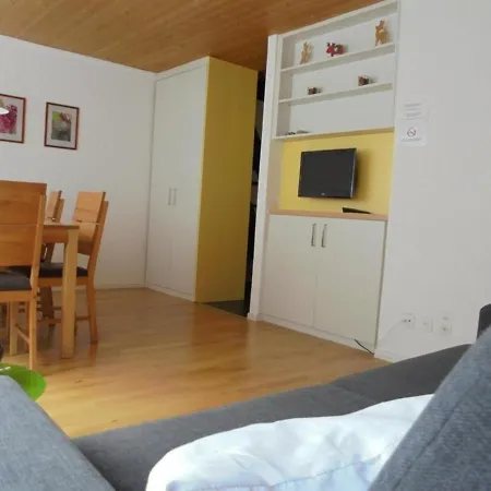 Apartment Gemutliche 2-zimmer Ferienwohnung In Nahe Bergbahnen, Bis 6 Personen - Schwimmbad, Sauna Laax